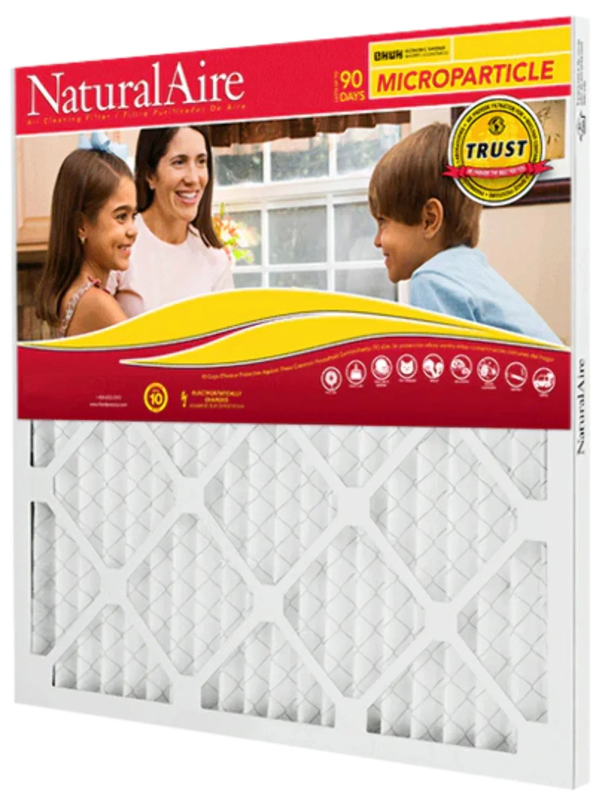 Filters MERV NaturalAire 10x10x1 85256.011010 (6 10 pack) Microparticle