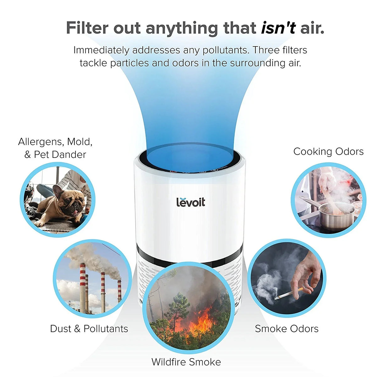 with Air LEVOIT for More Bacteria, True and Smoke, Hepa LV-H132 Purifier Filter