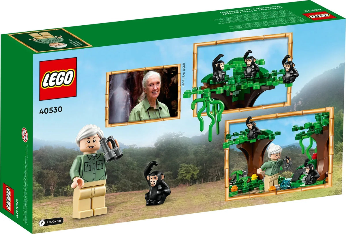Goodall Tribute Jane LEGO 40530