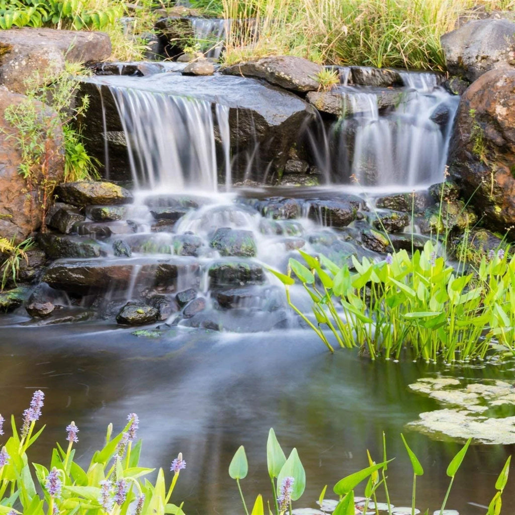and HALF Waterfalls Direct PN-10500 - Water Ponds Drive Piranha PONDS Submersible Gardens, OFF Pump 10,500 Series for GPH