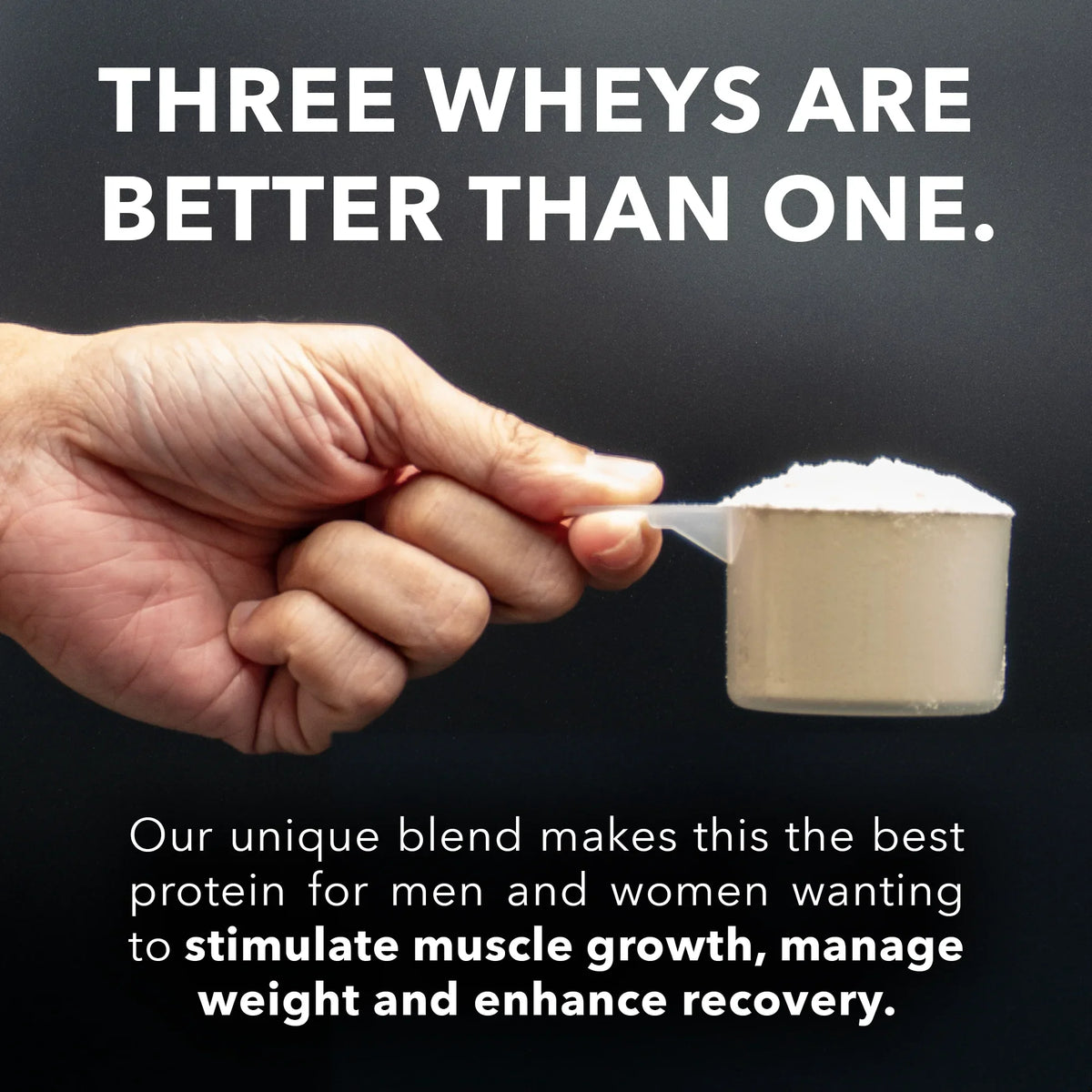 Unflavored, of 75 Fantastic Blend Proteins 5LB Grass - Whey 3 Optimum Whey Whey Servings – Fed Protein