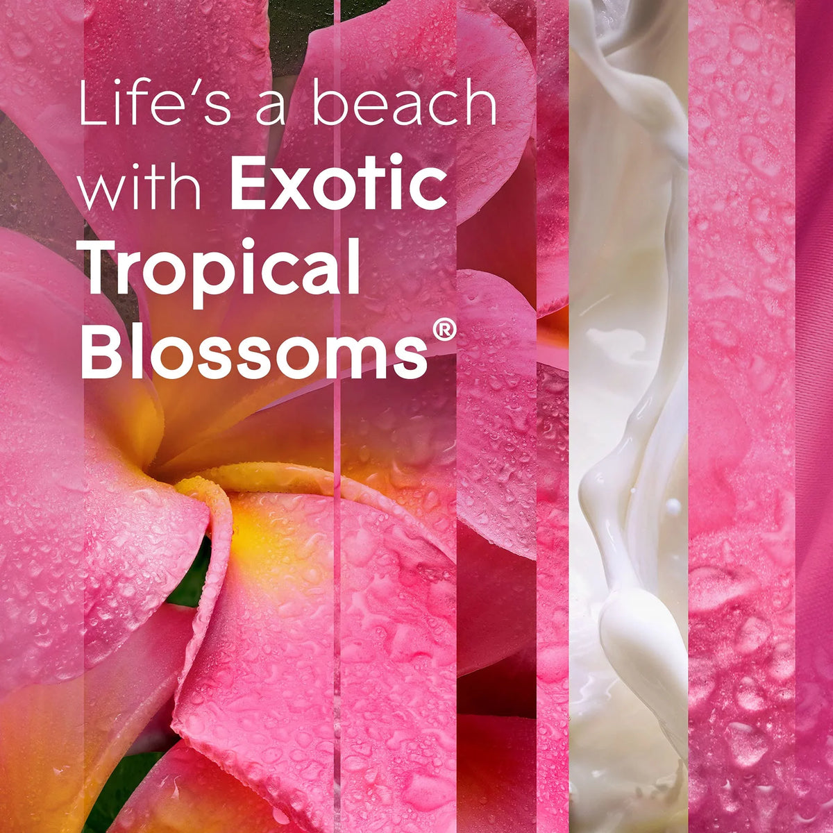 Blossoms, 3 Air And Spray Tropical Count Home Refill, Automatic Glade Bathroom, Oz, For 6.2 Freshener