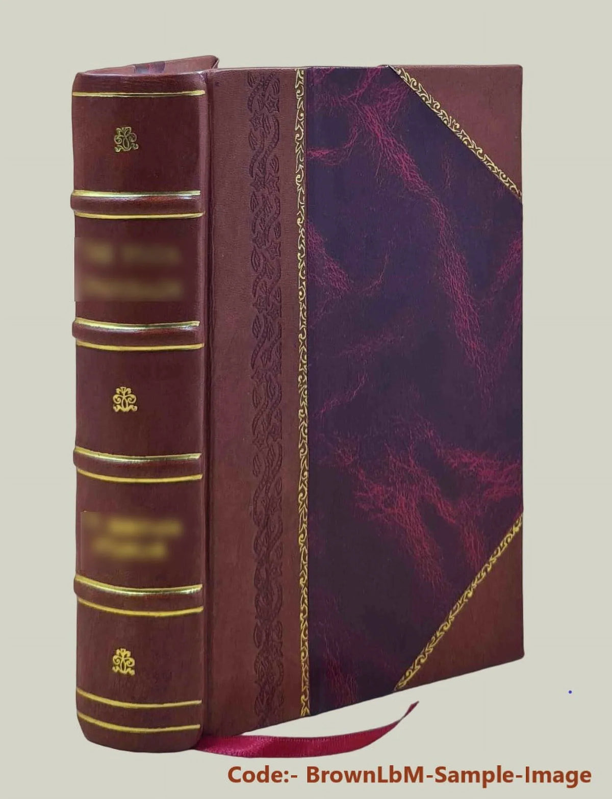 Benedict Conn., ; James / 1896 notes left Danbury, from History [Leather Bailey 1684-1896 Hill. by additions Susan Montgomery with of compiled by and manuscript Bound]
