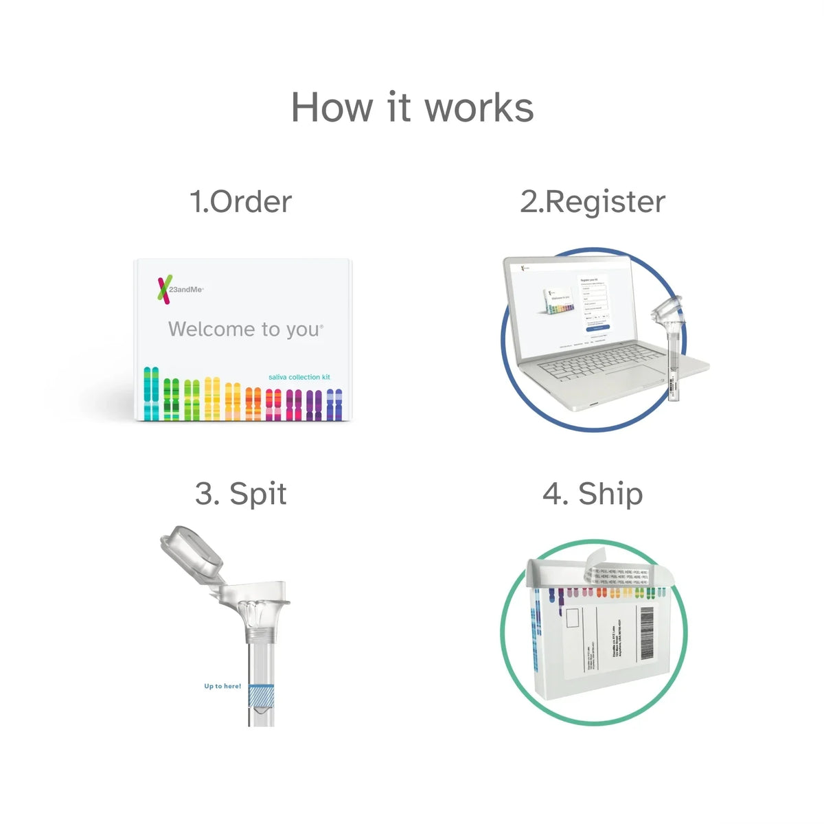 Info 23andMe+ Premium See DNA You Test Important Test (before Buy Membership Below) Bundle -