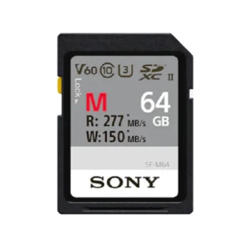 Accessories Camera Only) Mirrorless Sony with (Body Alpha Bundle APS-C a6600
