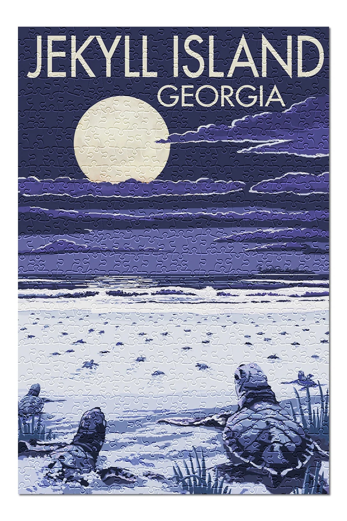 Hatching and Island, Jekyll Family, Made Jigsaw Premium Georgia, Adults Piece 500 for Turtles (19x27 in inches, USA) Puzzle