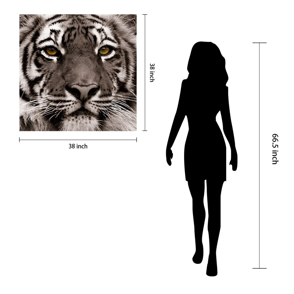 Tiger Floating Hang Glass the Art, Tempered Wall 38" Panel Frameless Eye Empire to x 0.2", Free x Graphic of Direct Ready Art 38"
