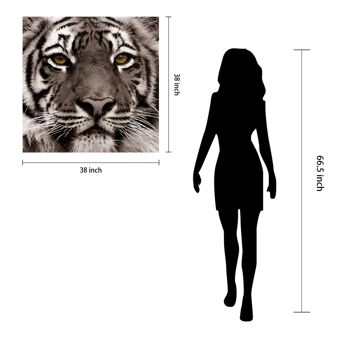 Tiger Floating Hang Glass the Art, Tempered Wall 38" Panel Frameless Eye Empire to x 0.2", Free x Graphic of Direct Ready Art 38"