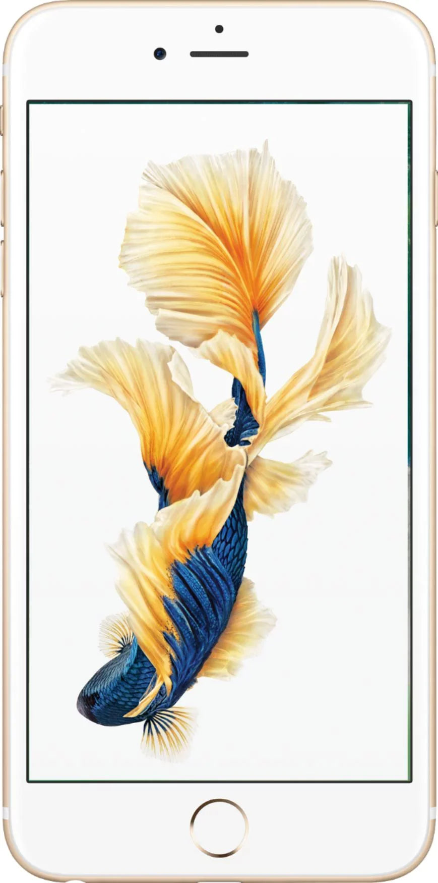 Talk Gold + Unlocked (Refurbished: Card Sim 64GB Pre-Owned 6S Speed Good) iPhone