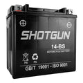 Sport Replacement BMW 2017 Battery YTX14-BS Shotgun Powersports For C650 2016