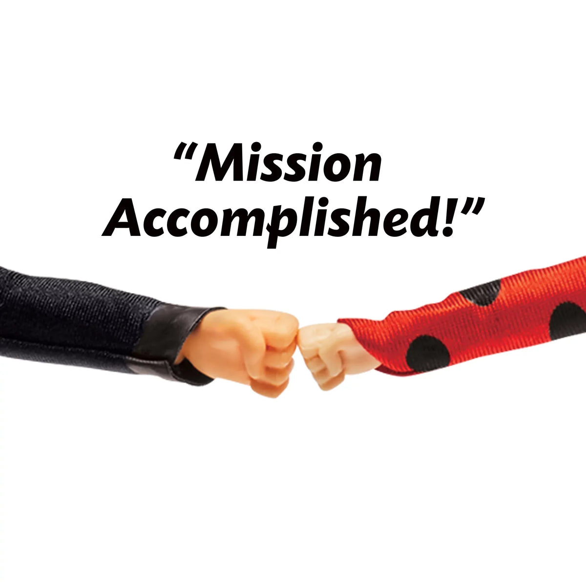 Playset, Cat Mission Doll Accomplished 4 and Pieces Miraculous Ladybug Noir