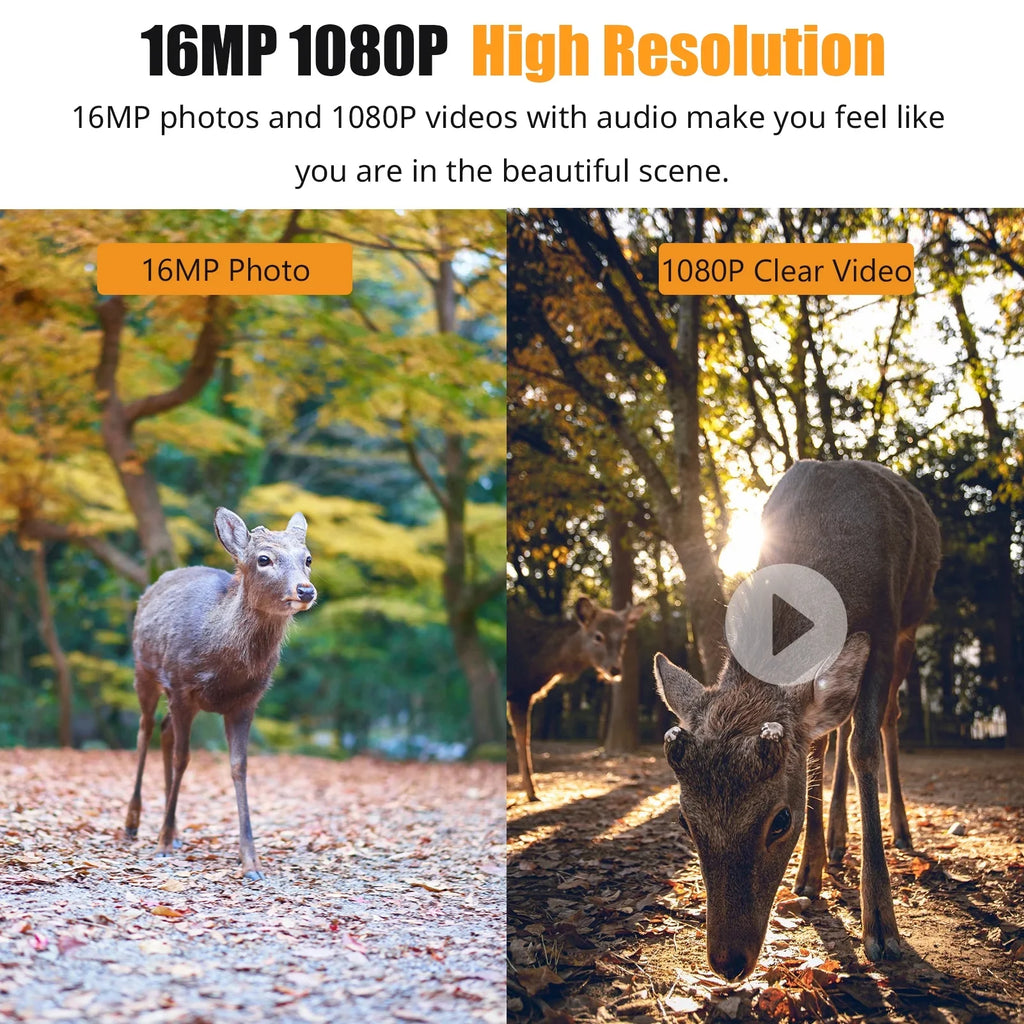 With Time Waterproof Irfora VisionDisplayFarm TimeIp66 Camera Tft 2.4'' WaterproofQisuo 2.4'' And Ip66 Camera Ir 1080p Camera,Ir 0.6s With Color Waterproof 0.6s