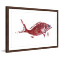 2" Print Framed "Red Snapper Painting