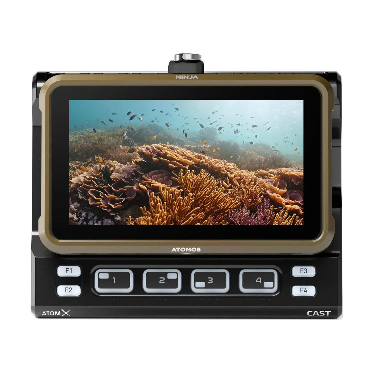 HDMI 5.2 4K Monitor Recording Atomos Ninja