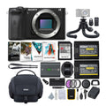 Accessories Camera Only) Mirrorless Sony with (Body Alpha Bundle APS-C a6600