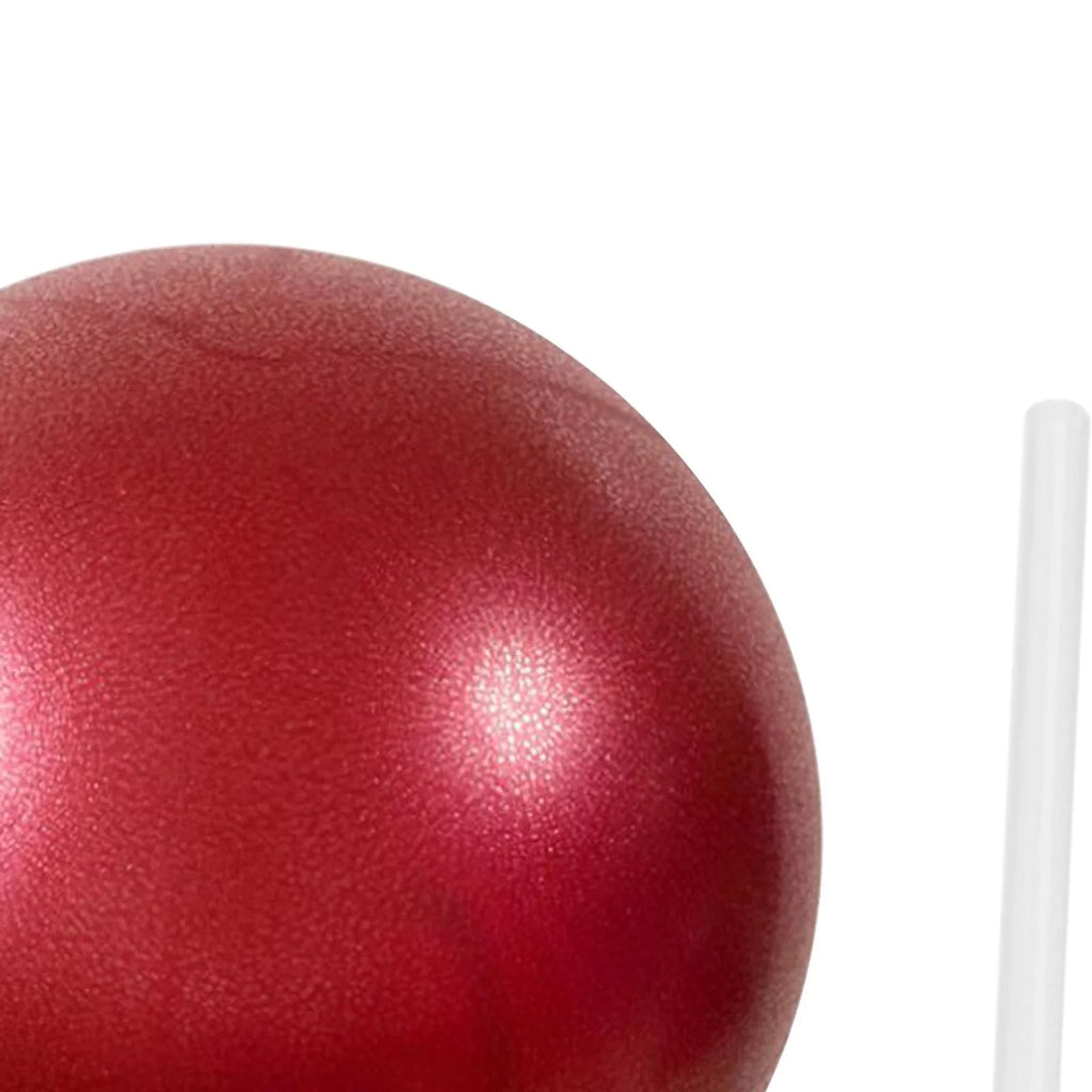 Duty AMLESO Red for Workout Ball Home Heavy Gym Ball Pilates Balance 6xSmall