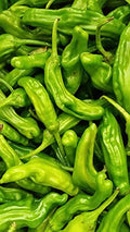 Chili 2 Peppers lbs. Shishito Fresh