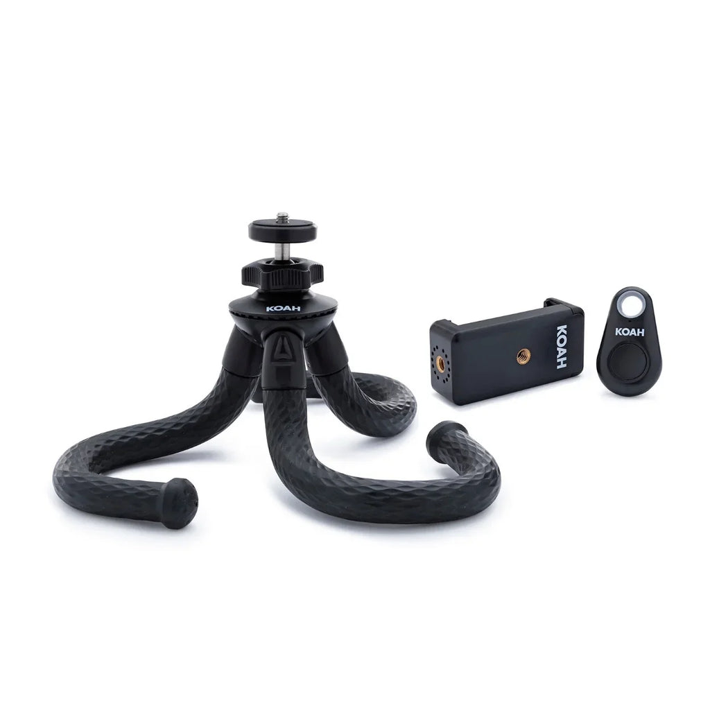 Accessories Camera Only) Mirrorless Sony with (Body Alpha Bundle APS-C a6600