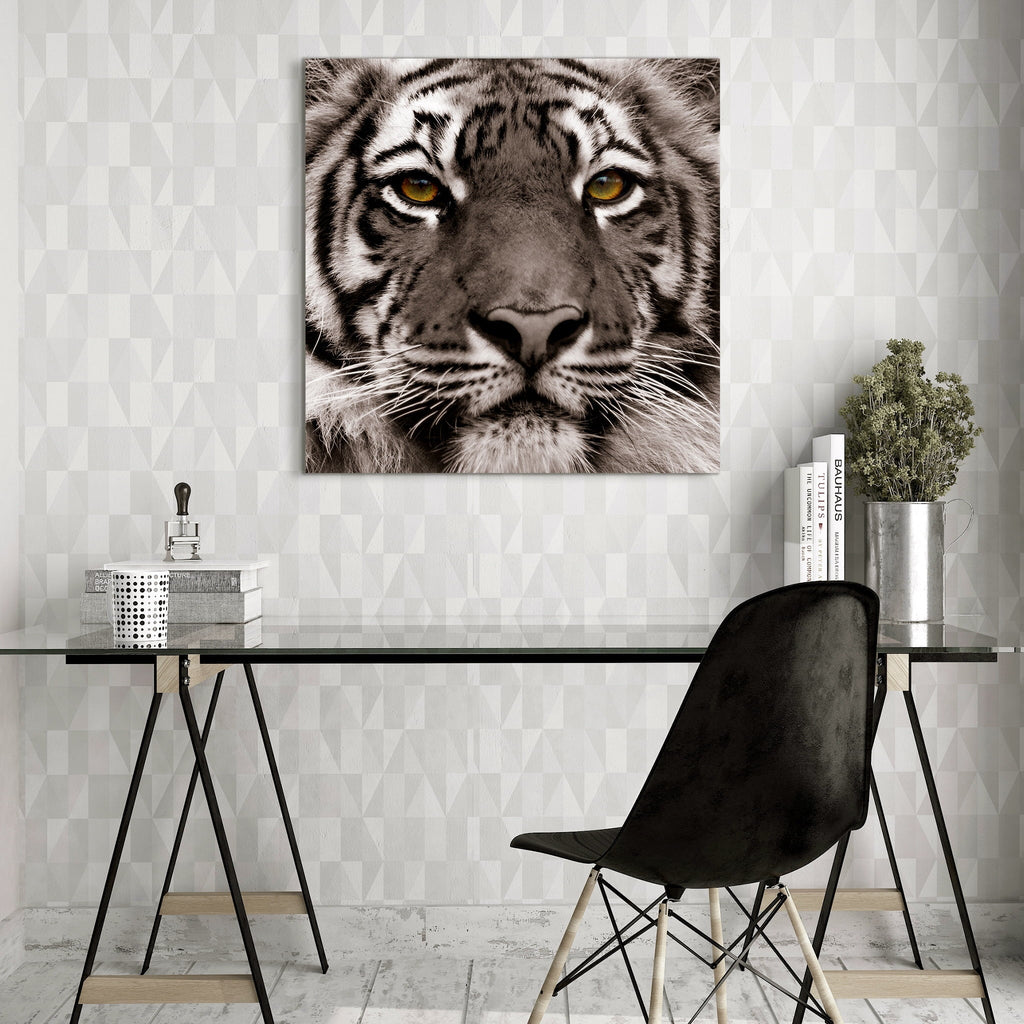 Tiger Floating Hang Glass the Art, Tempered Wall 38" Panel Frameless Eye Empire to x 0.2", Free x Graphic of Direct Ready Art 38"