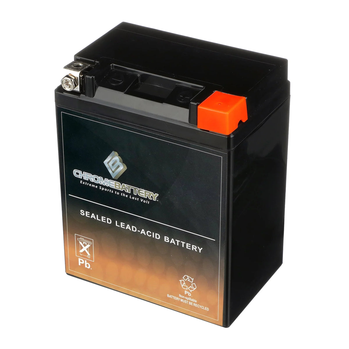 for Battery CCA) 210 Ah, Battery Cat Chrome (14AHL-BS Snowmobile Arctic Volt,12 Pantera YTX14AHL-BS 12 1993