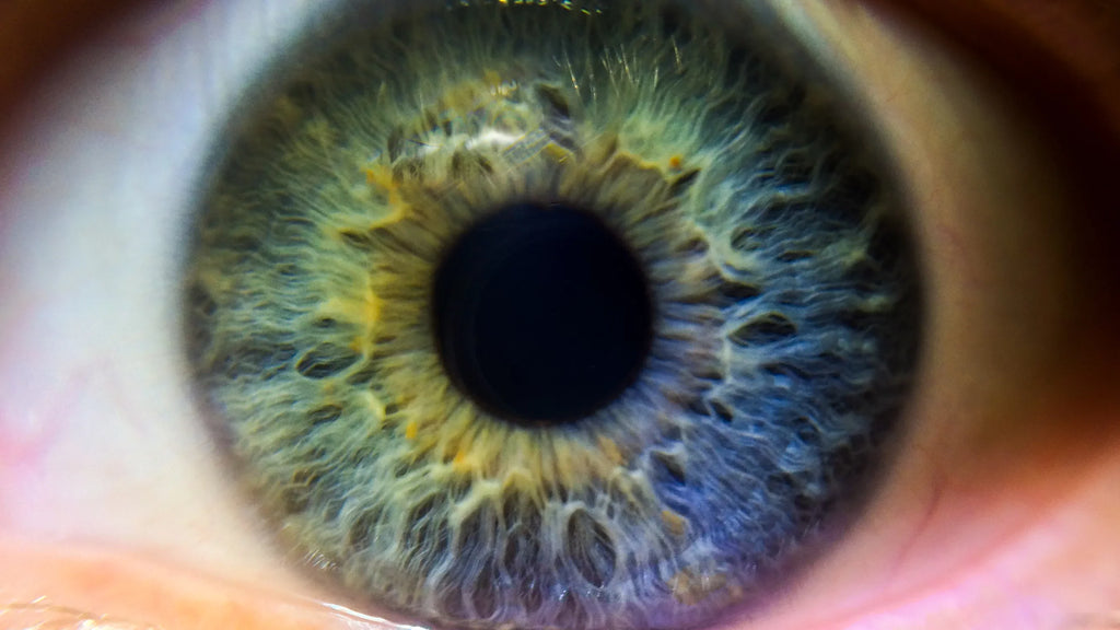 (macro) close-up high usm element 2 f/2.8 ef-s 10x canon definition 60mm lens...